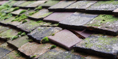Eccleston Park roof repair costs